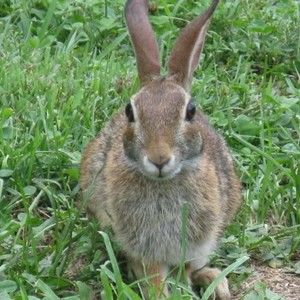 Meet your Posher, Janice